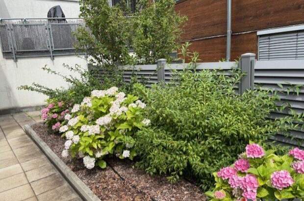 Terrassenwohnung mieten in 3400 Klosterneuburg (Bild 2)