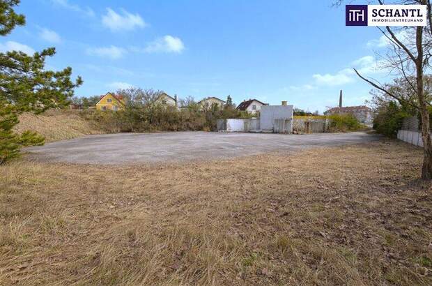 Grundstück kaufen in 2542 Kottingbrunn (Bild 2)