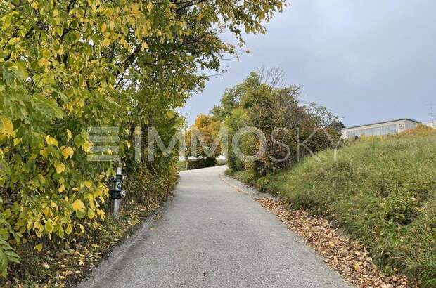 Grundstück kaufen in 2103 Langenzersdorf (Bild 3)