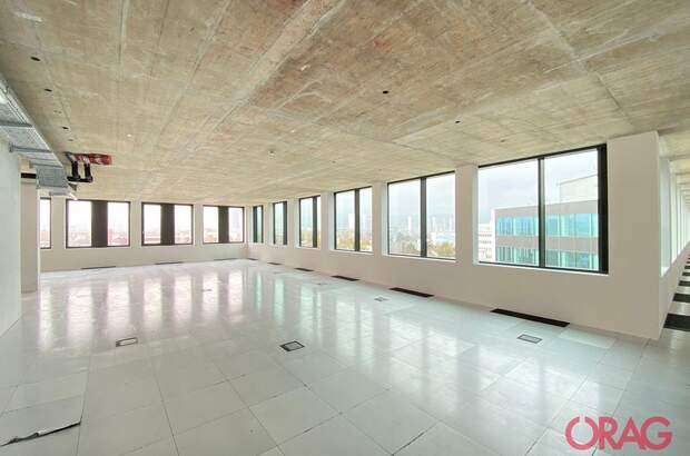 Gewerbeobjekt mieten in 4020 Linz (Bild 2)