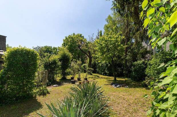 Haus mit Garten kaufen in 2500 Baden (Bild 4)