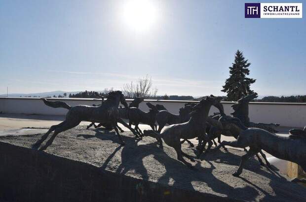 Terrassenwohnung kaufen in 8113 Sankt Bartholomä (Bild 3)