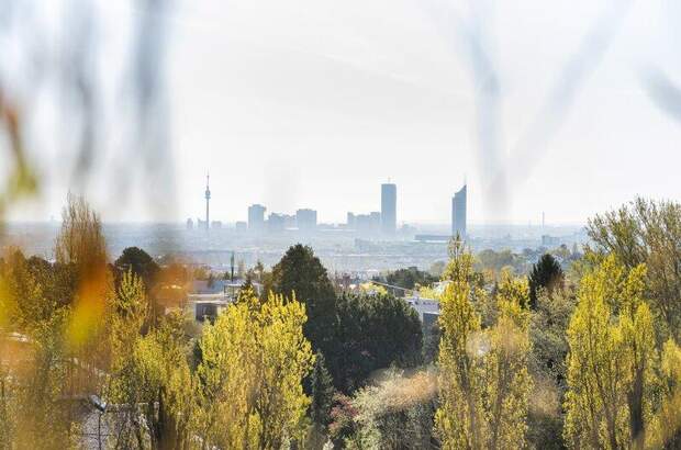 Terrassenwohnung kaufen in 1190 Wien (Bild 5)