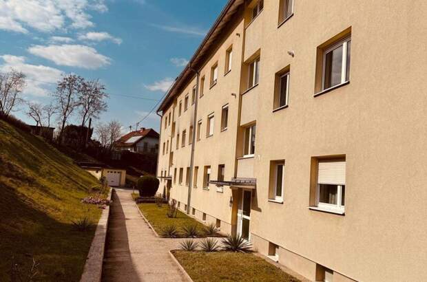 Altbauwohnung kaufen in 4073 Wilhering (Bild 1)