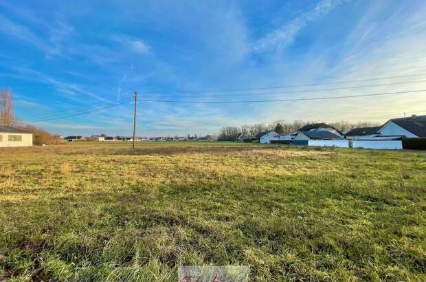 Grundstück kaufen in 4614 Marchtrenk (Bild 3)