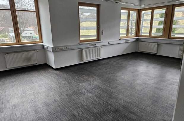 Gewerbeobjekt mieten in 8353 Kapfenstein (Bild 4)