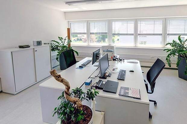 Gewerbeobjekt mieten in 8160 Weiz (Bild 2)