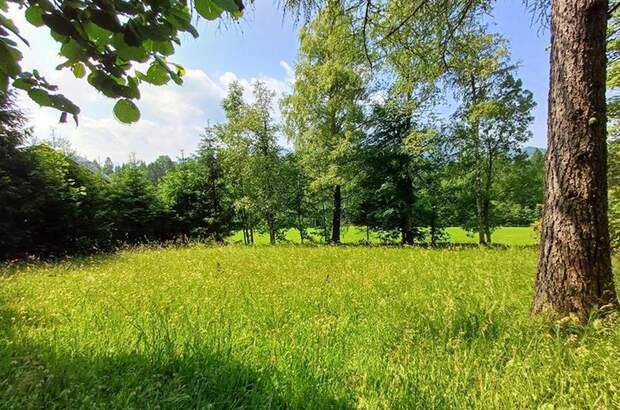 Grundstück mieten in 5324 Faistenau (Bild 2)