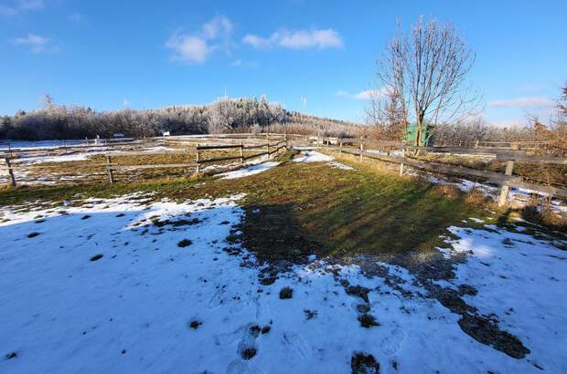 Einfamilienhaus kaufen in 2533 Klausen (Bild 3)