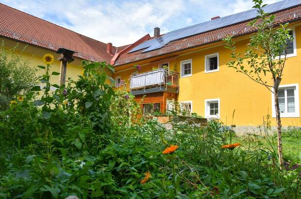Terrassenwohnung mieten in 4060 Leonding (Bild 1)