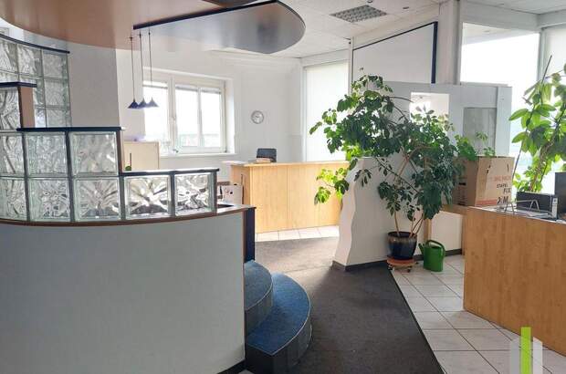 Gewerbeobjekt mieten in 4600 Wels (Bild 1)