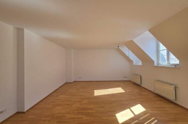 Terrassenwohnung kaufen in 1050 Wien (Bild 3)