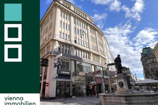 Büro / Praxis mieten in 1010 Wien (Bild 1)