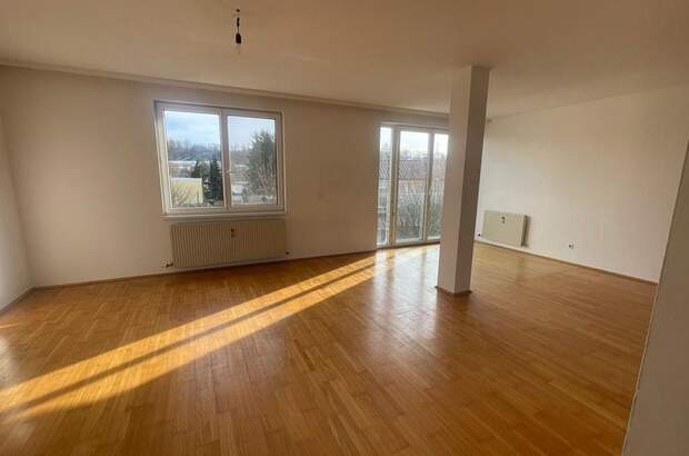 Wohnung mieten in 4600 Wels (Bild 1)