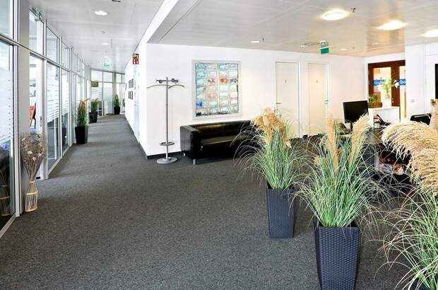 Gewerbeobjekt mieten in 1210 Wien (Bild 2)