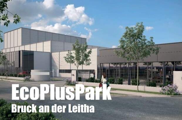 Lager kaufen in 2460 Bruck an der Leitha (Bild 1)