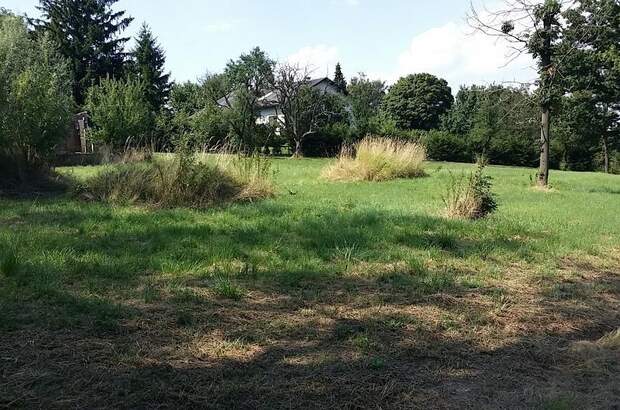 Jagd- und Forstwirtschaft kaufen in 3434 Wilfersdorf (Bild 4)