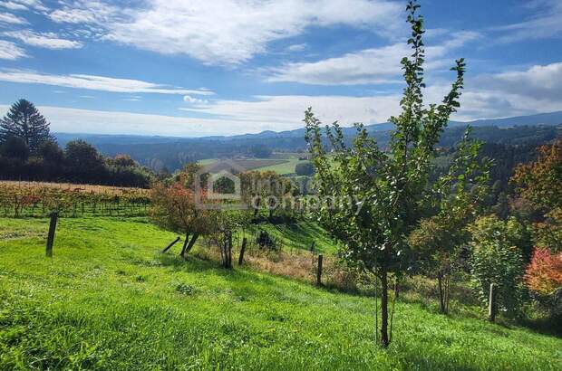 Haus mit Garten kaufen in 8511 Sankt Stefan (Bild 4)