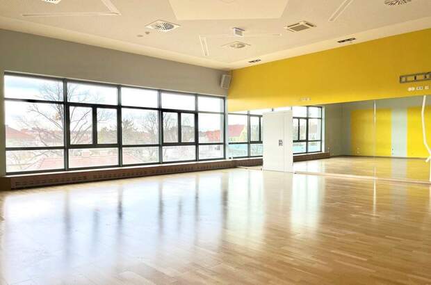 Gewerbeobjekt mieten in 2320 Schwechat (Bild 3)