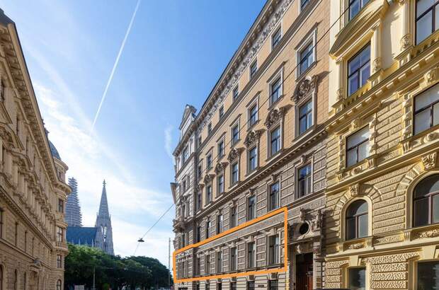 Gewerbeobjekt mieten in 1090 Wien (Bild 3)