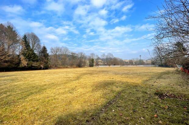 Grundstück kaufen in 8330 Feldbach (Bild 1)