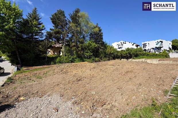 Grundstück kaufen in 3400 Klosterneuburg (Bild 3)