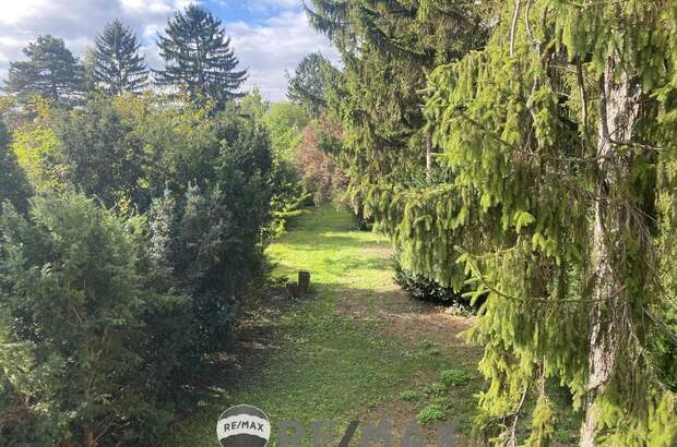 Grundstück kaufen in 2103 Langenzersdorf (Bild 1)