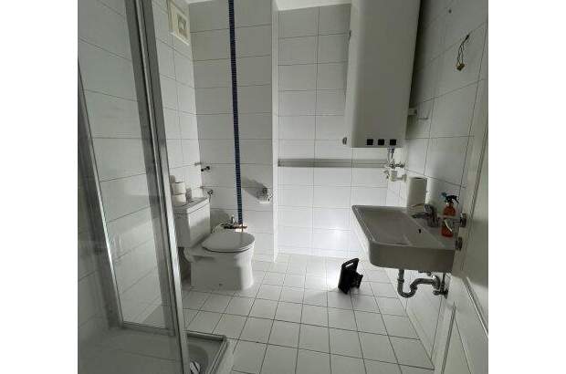 Wohnung mieten in 4470 Enns (Bild 5)