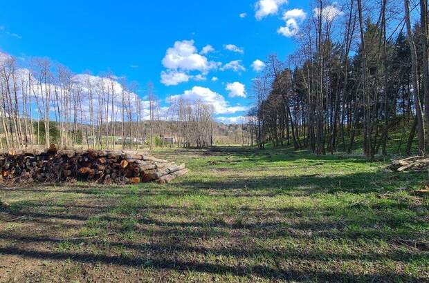 Grundstück kaufen in 8082 Kirchbach (Bild 3)