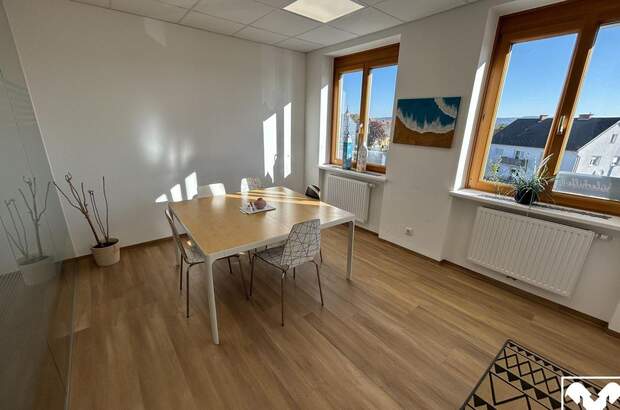 Gewerbeobjekt mieten in 4070 Eferding (Bild 4)