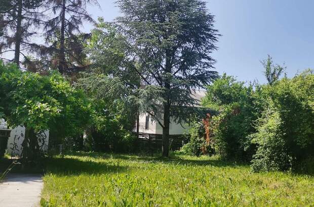 Grundstück kaufen in 2601 Sollenau (Bild 1)