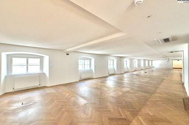 Gewerbeobjekt mieten in 1010 Wien (Bild 4)