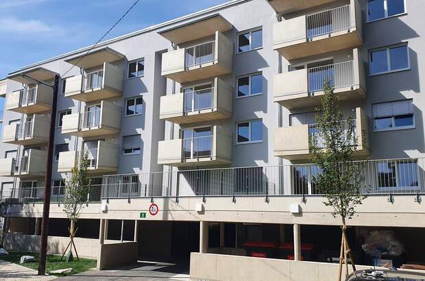 Terrassenwohnung mieten in 8010 Graz (Bild 3)