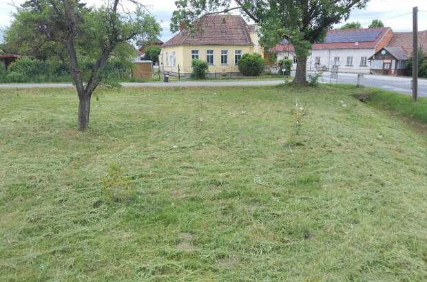 Mietwohnung in 2095 Drosendorf Stadt (Bild 4)