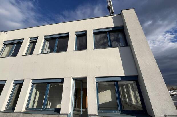 Gewerbeobjekt mieten in 2351 Wiener Neudorf (Bild 2)