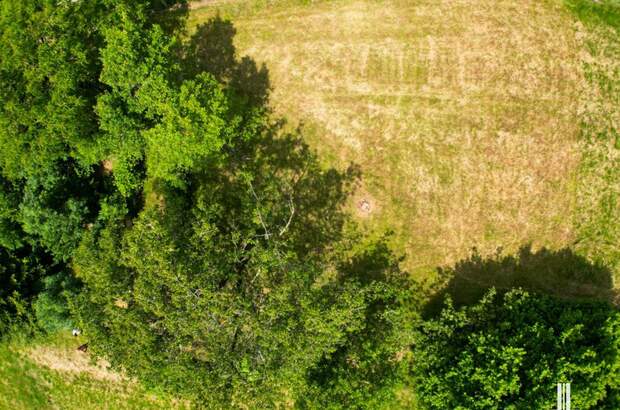 Grundstück kaufen in 8054 Seiersberg (Bild 3)