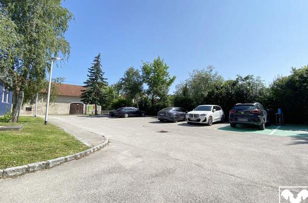 Gewerbeobjekt mieten in 4631 Krenglbach (Bild 3)