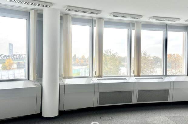 Gewerbeobjekt mieten in 1200 Wien (Bild 5)