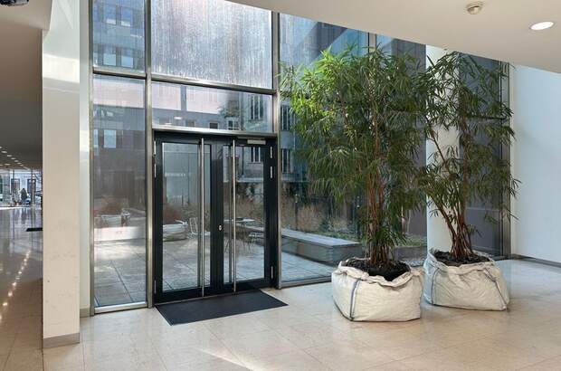 Gewerbeobjekt mieten in 1050 Wien (Bild 3)