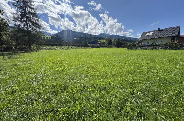 Grundstück kaufen in 8966 Aich (Bild 1)