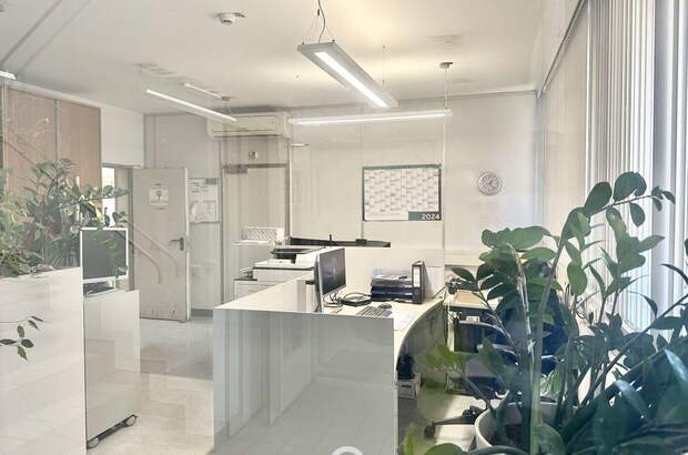 Gewerbeobjekt mieten in 1230 Wien (Bild 4)