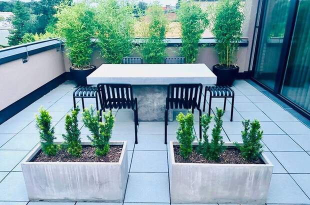 Eigentumswohnung in 4020 Linz (Bild 2)