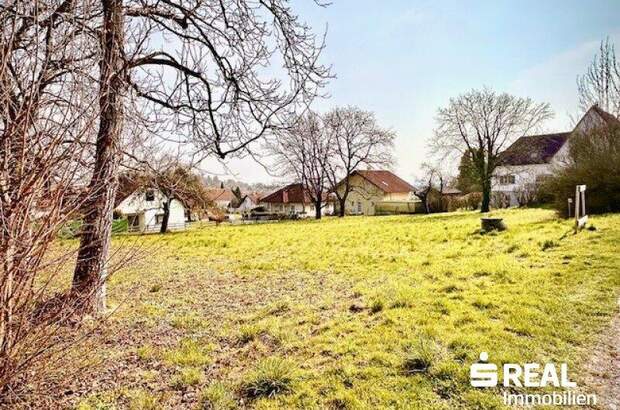 Grundstück kaufen in 4060 Leonding (Bild 1)