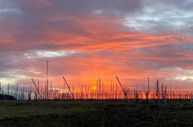 Grundstück kaufen in 8380 Jennersdorf (Bild 1)