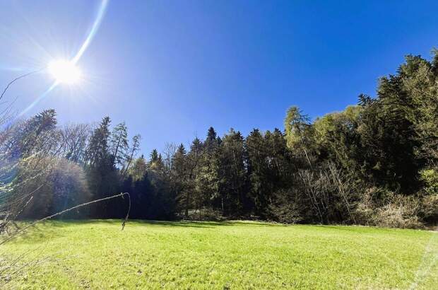 Grundstück kaufen in 6075 Tulfes (Bild 3)