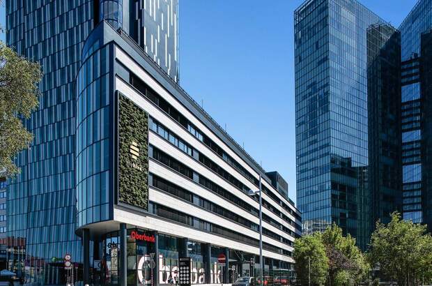 Gewerbeobjekt mieten in 1100 Wien (Bild 2)