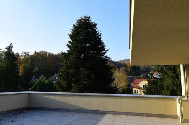 Wohnung kaufen in 8044 Graz (Bild 5)