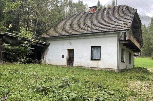 Gewerbeobjekt kaufen in 9135 Ebriach (Bild 3)