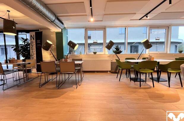 Gewerbeobjekt mieten in 4780 Schärding (Bild 4)