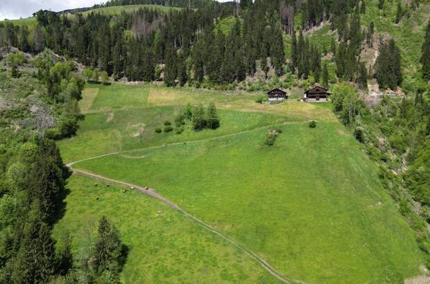 Gewerbeobjekt kaufen in 9911 Assling (Bild 3)